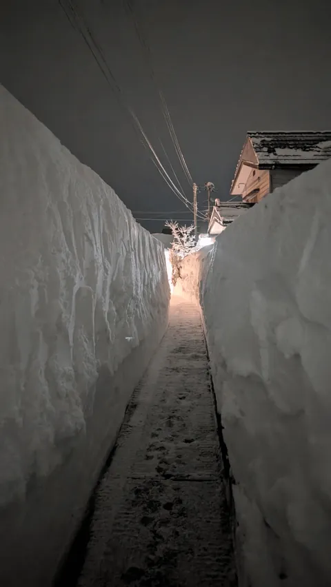 Nagano &amp; Niigata, Japan have gotten an INSANE amount of snow recently !!