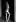 Katline Roddes