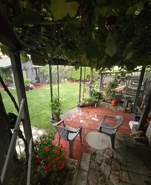 My favorite spot for morning coffee 🌿