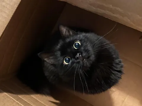 Jolene’s face simultaneously makes me laugh and melts my heart