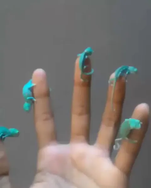 Five little turquoise chameleons