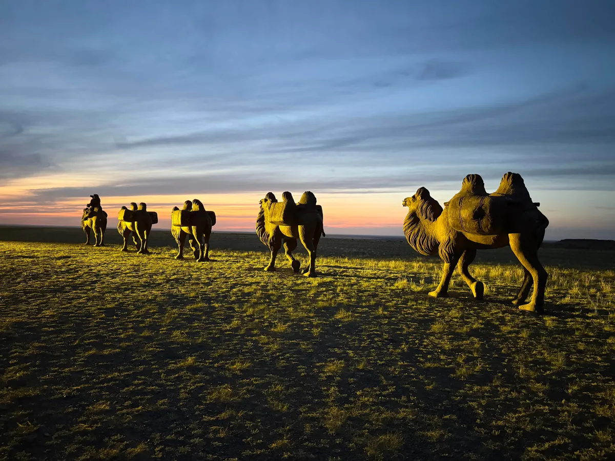 Mongolia trip report &amp; pics