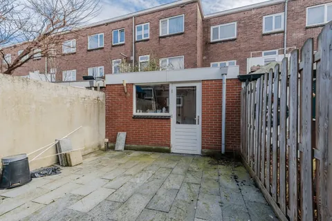 My first garden, before and after