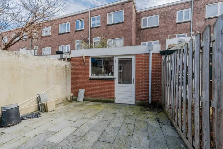 My first garden, before and after