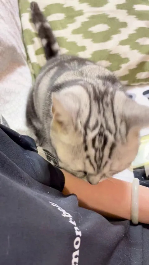 Excuse me, I require your attention