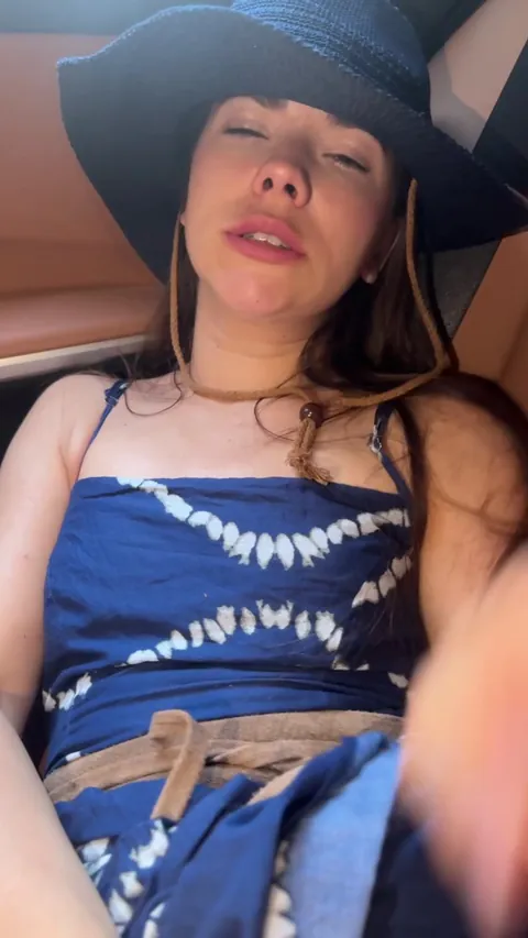 Pussy playing in the car