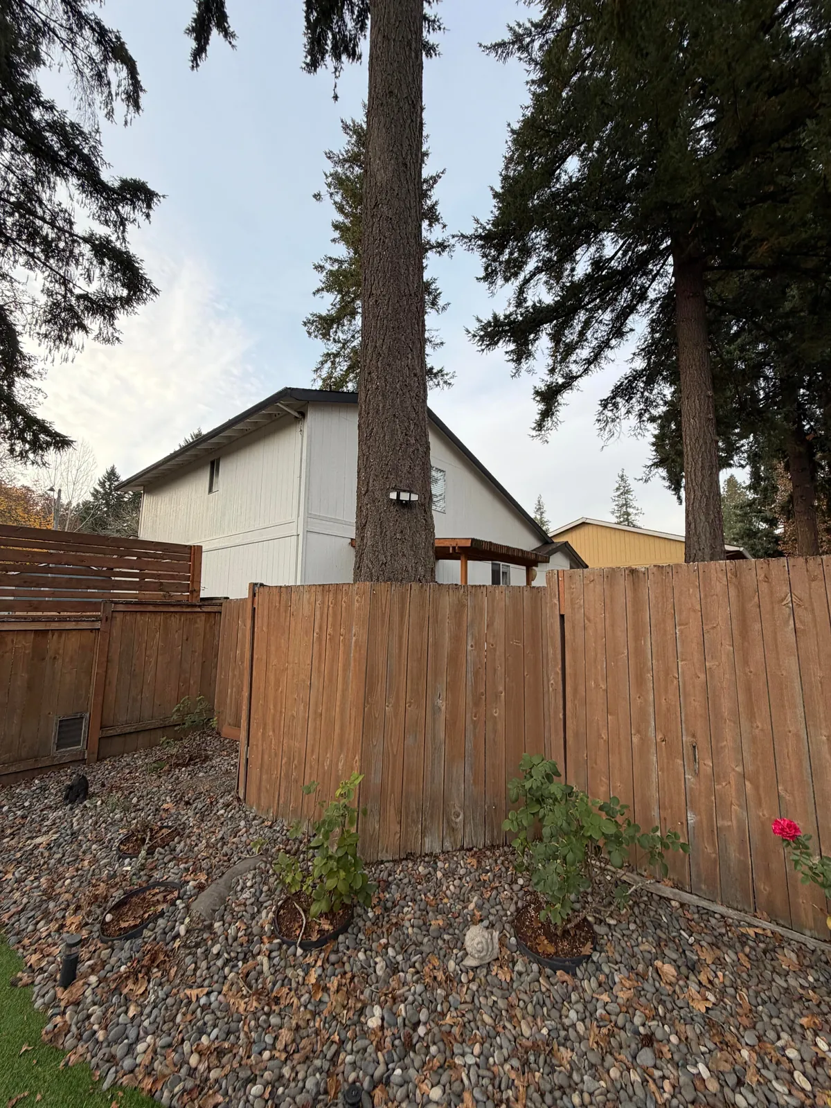 Neighbor installed a motion sensing LED light on a tree and aimed directly into my yard