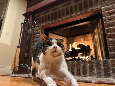 She held on for her 20th Christmas before letting go