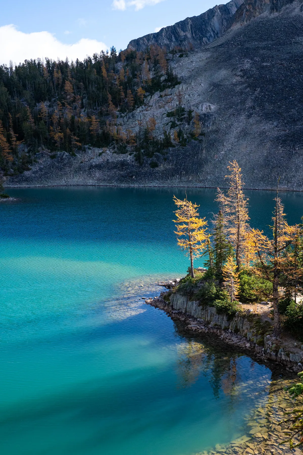 Larch trees in the Purcell Mountains, British Columbia (OC) [2667x4000]