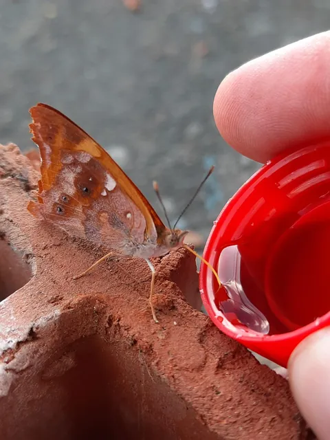 Sharing a cola with a friend, he even brought his own straw!