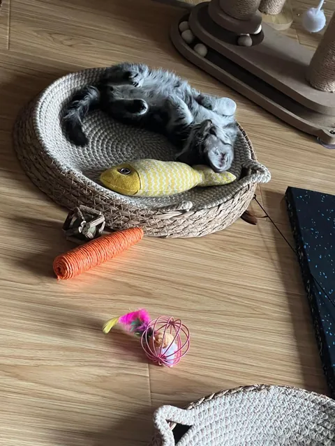 My cat’s favorite sleeping since it was a kitten