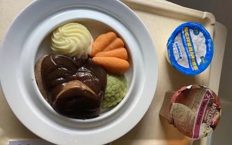 The puréed meal served at the local hospital in Australia. Potatoes, carrots, peas, rissoles and gravy