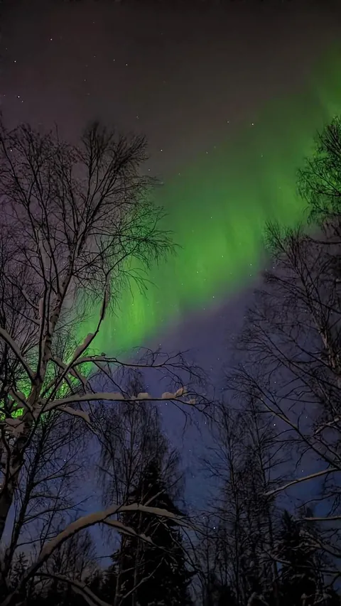 Finland, a few days in Lapland.