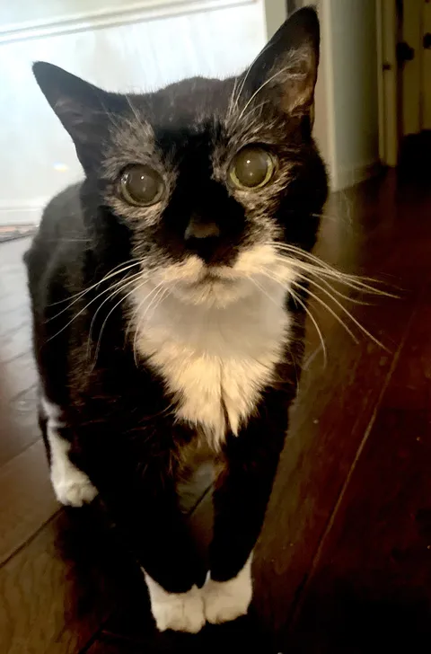 Celebrating her 22nd year 