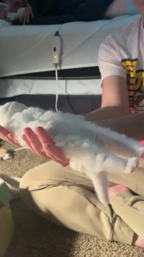 How deeply do you sleep?         Cat: Yes