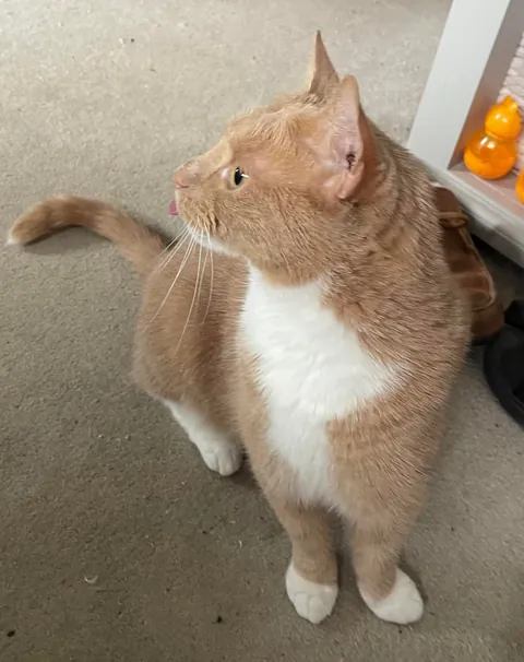 Goodbye little man
