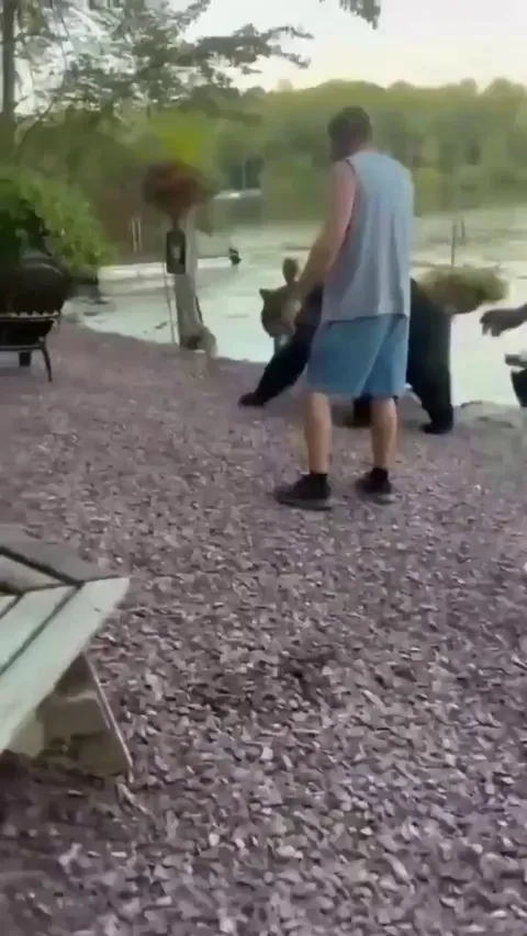 Man gets bear to leave a party 
