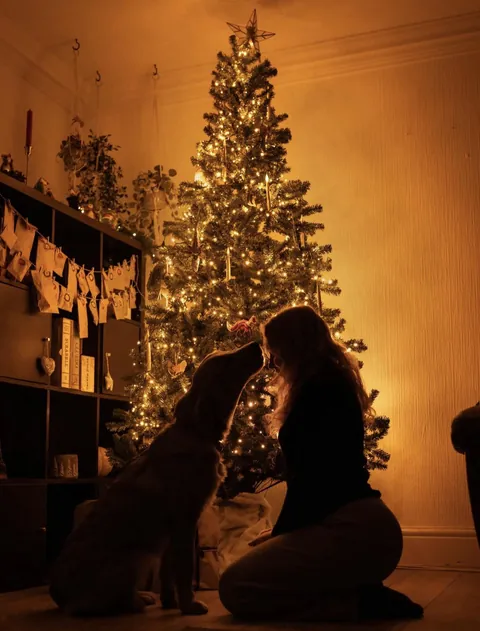 Under the Christmas Tree