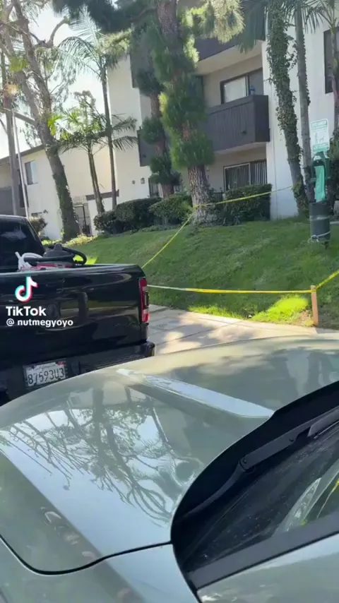 Squirrel being a silly goober