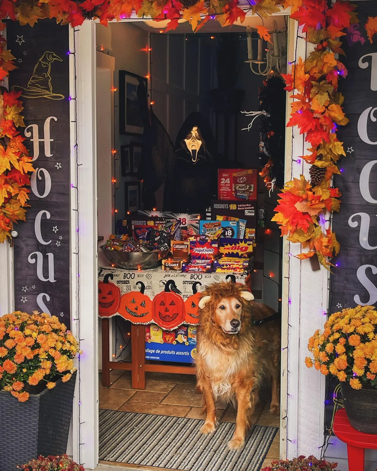 Last year's Halloween setup! Can't wait for October 31st!