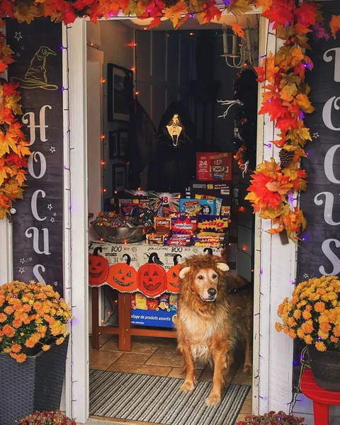 Last year's Halloween setup! Can't wait for October 31st!