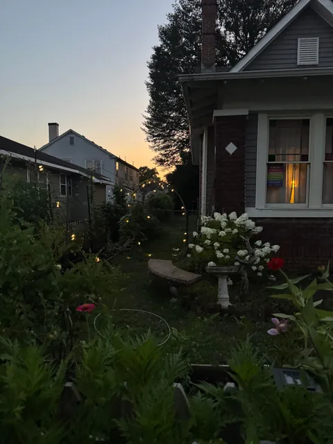 My front garden 🧚‍♀️🌱