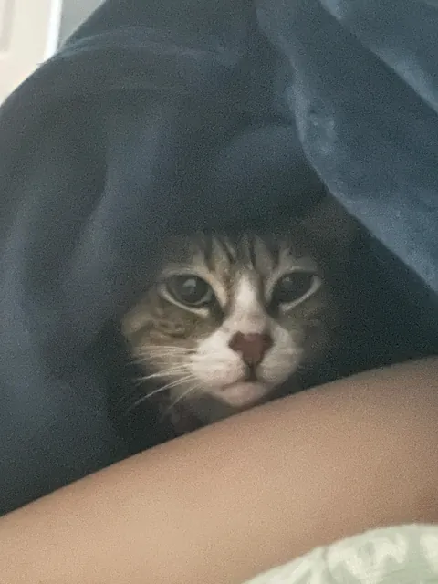 Tribute to my sweet boy. I just want people to know he existed