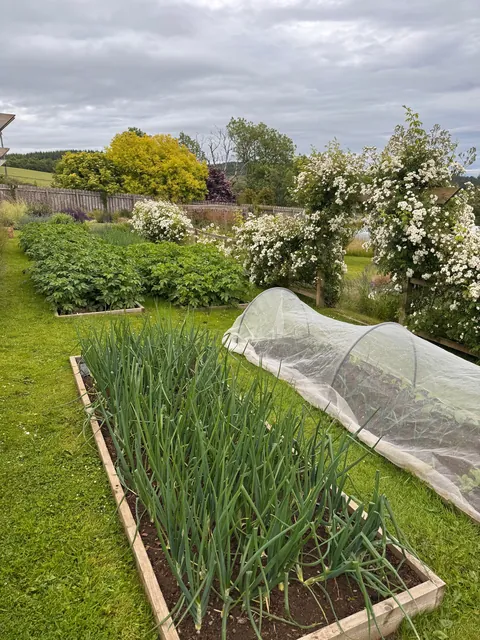 My Scottish Garden