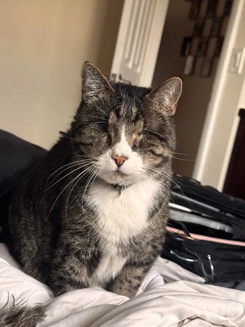 Sometimes it makes me really sad when I think about how long he was in a shelter.