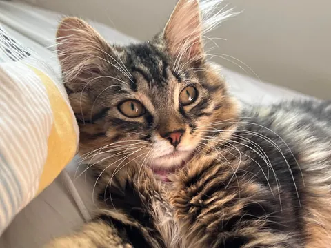 i love her so much, she’s the loml