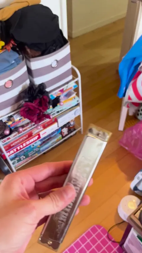 My cat is obsessed with the harmonica. She will emerge from anywhere in the house as soon as she hears her fanfare 