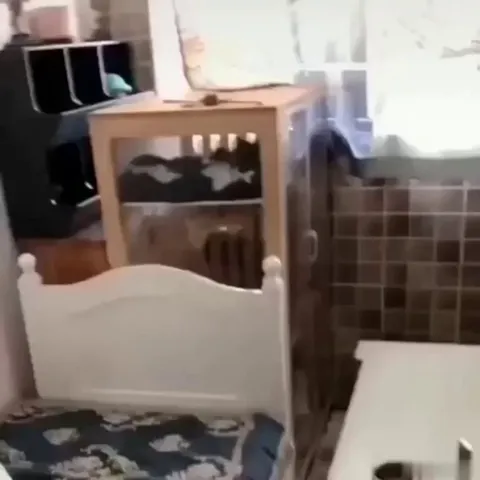 When you are perfect and can no longer hide it