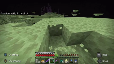 Was just trying to find elytras