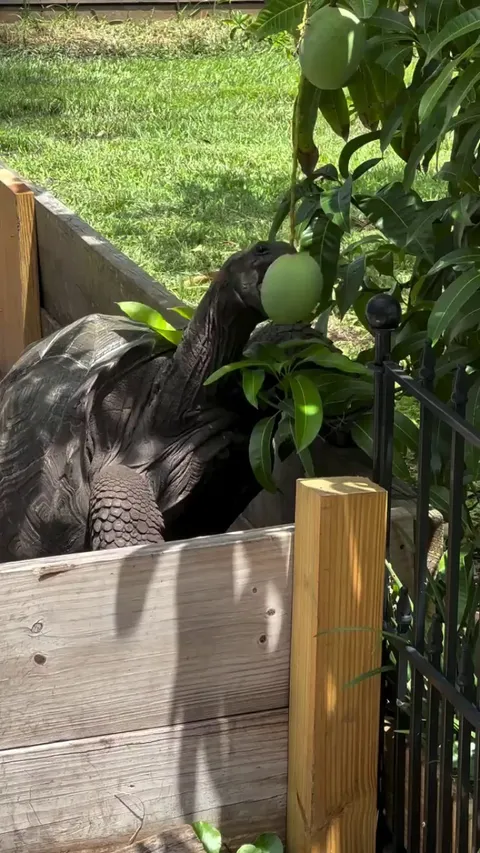 He has been trying for the last 150 years.. that's perseverance!