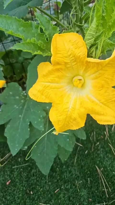 Is this how you do it? 