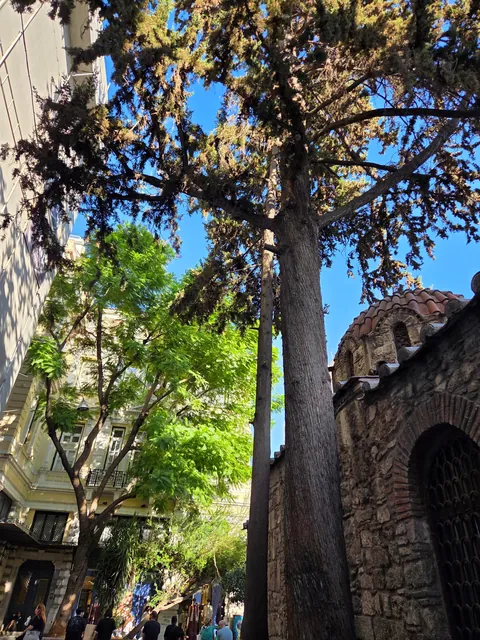 Greece somehow surpassed the huge hype, now one of my fav countries. Pics from Athens, Mykonos and Santorini.