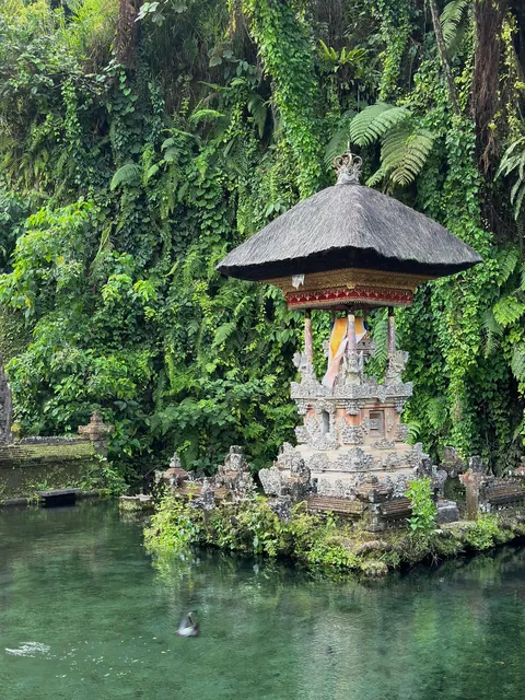 Bali 3-week trip. Highlights of waterfalls, rice fields, insane coast lines