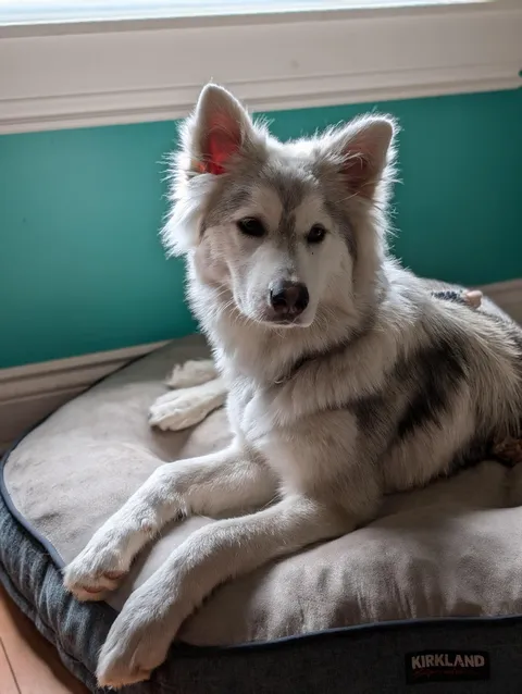 Our 6 month old teenager