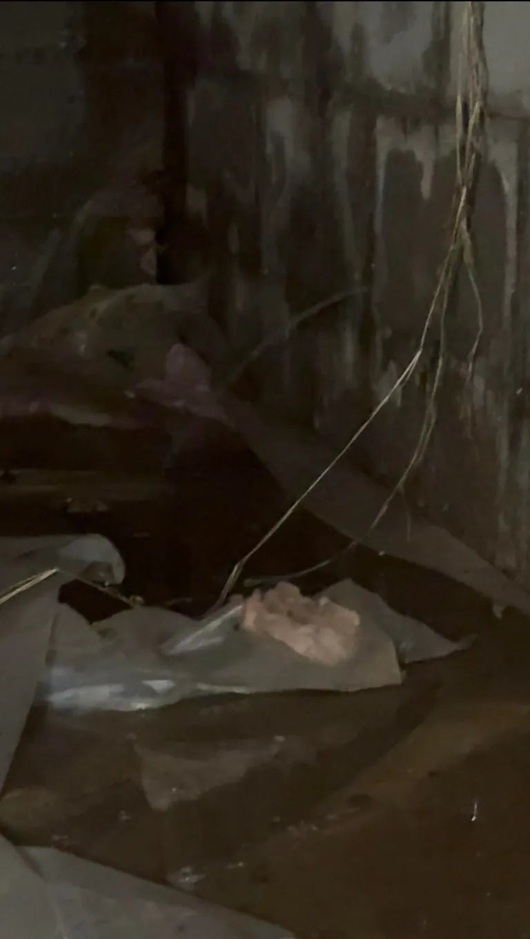 Just closed on our home a month ago… at a loss on where to start fixing this crawlspace and water problem