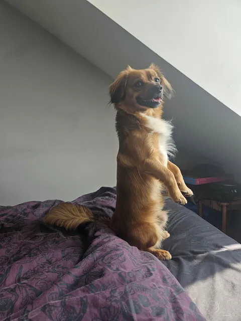 Kevin loves to watch the birds out the window.