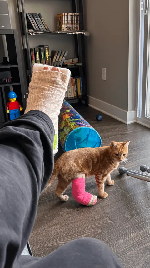 A glimpse into my life right now.