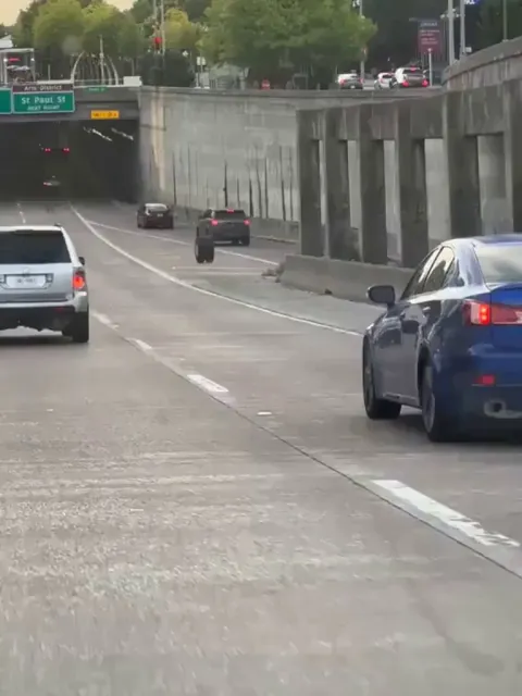 What goes around, comes around