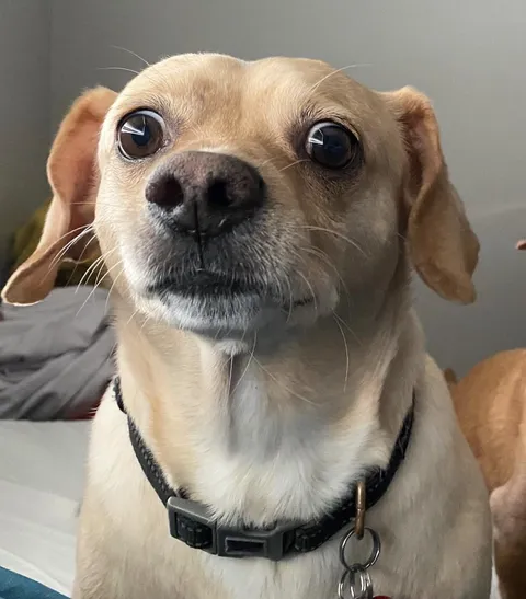 Woke up 10 minutes late for breakfast