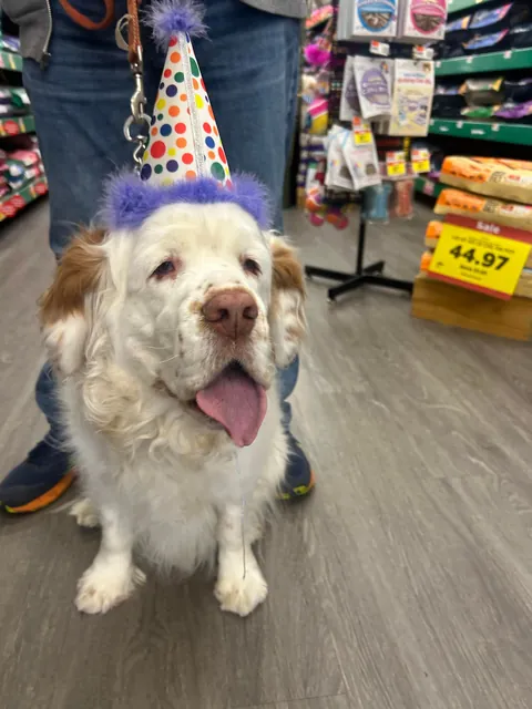 HAPPY BIRTHDAY HELGA! Today our sweet girl turns 6! 💕