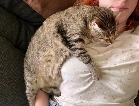 Nap trapped by my own cat