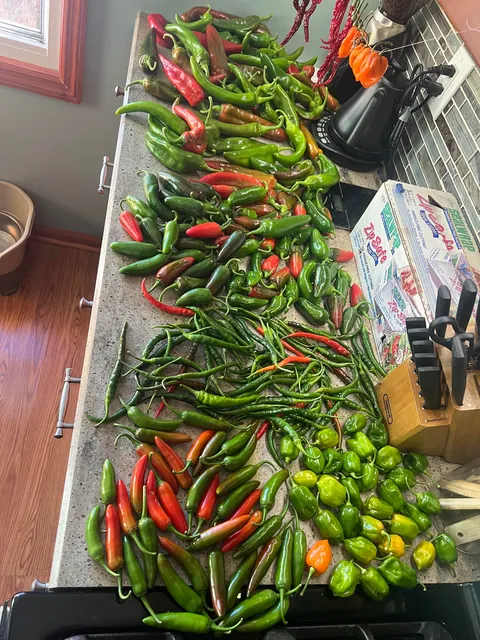 Enjoy my final harvest of the year