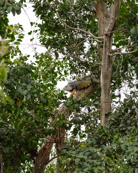 Puerto Rico Highlights from Our Family Trip 🇵🇷