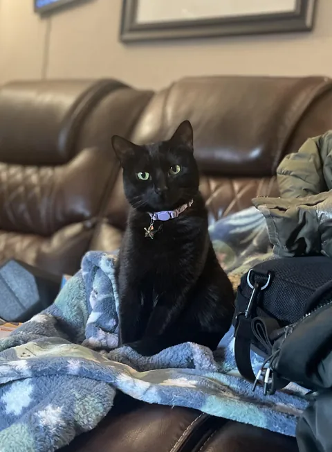 Princess and her blankie