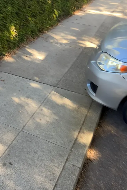 AI generated ‘accidental’ photo