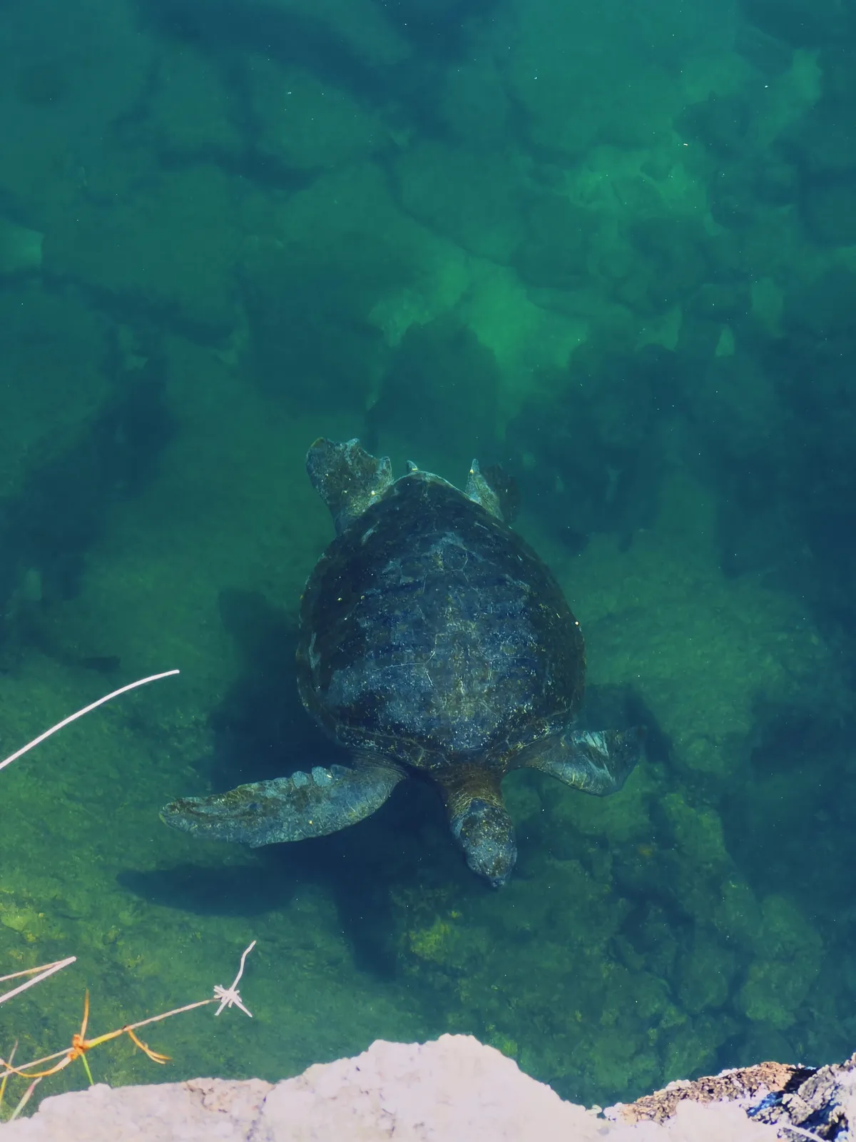 5 days in Galapagos in Sep 2025.